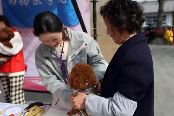 图为2026世界杯官方合作网站志愿者协助老师开展宠物义诊